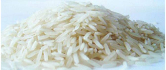IR 64 (Non-Basmati Rice)